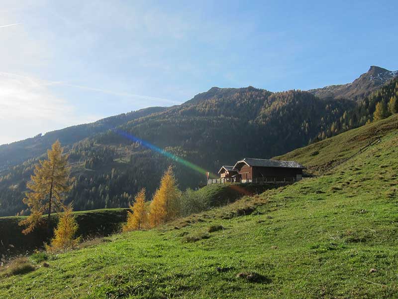 Bernkogel